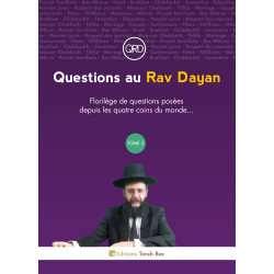 Questions au Rav Dayan (tome 2)