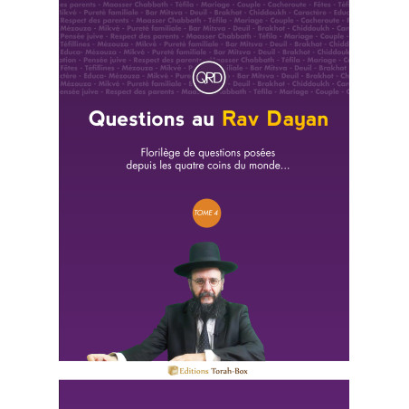 Questions au Rav Dayan (tome 4)