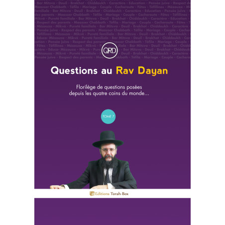 Questions au Rav Dayan (tome 7)